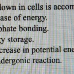 Most cells only store enough atp for