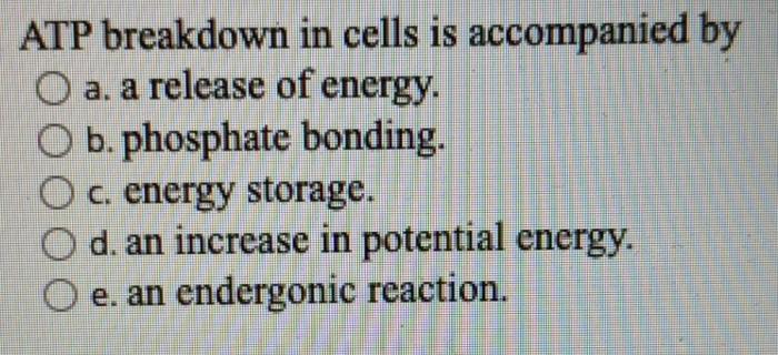 Most cells only store enough atp for