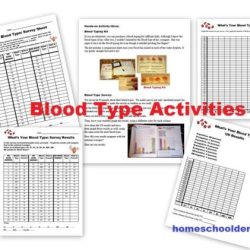 The blood typing game worksheet answers