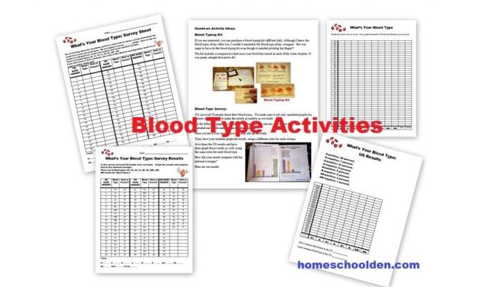 The blood typing game worksheet answers