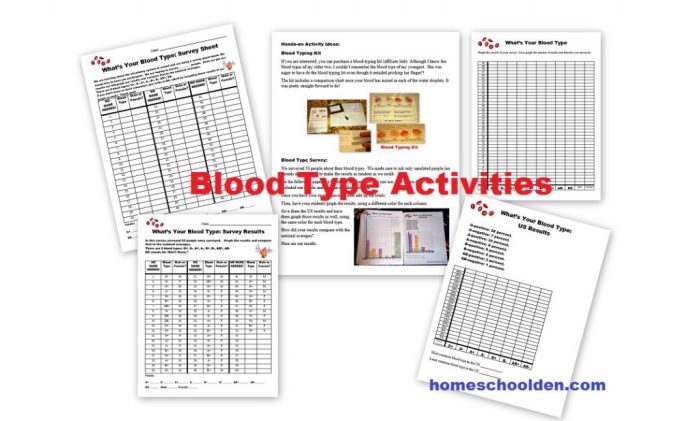 The blood typing game worksheet answers