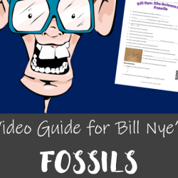 Bill nye the science guy fossils answer key