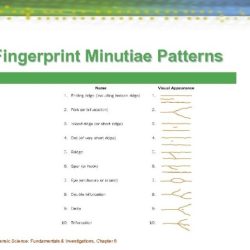 Chapter 5 fingerprint crossword review