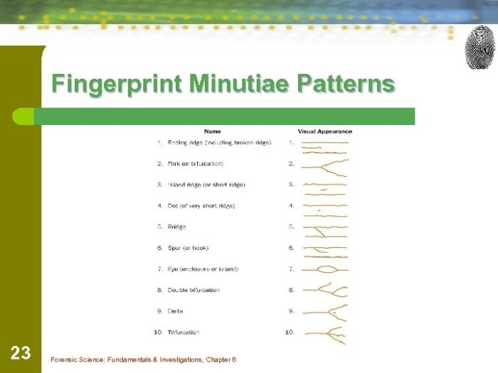 Chapter 5 fingerprint crossword review