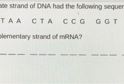 Building dna gizmo answers page 2