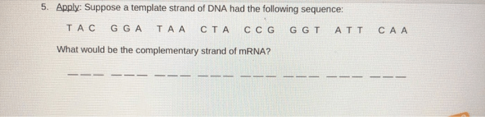 Building dna gizmo answers page 2