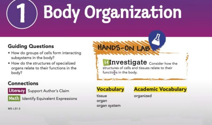 Elevate science grade 6 answer key