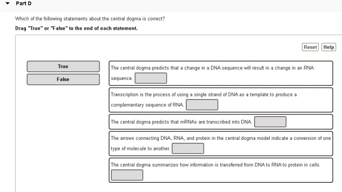 Which of the following statements about rna processing is correct