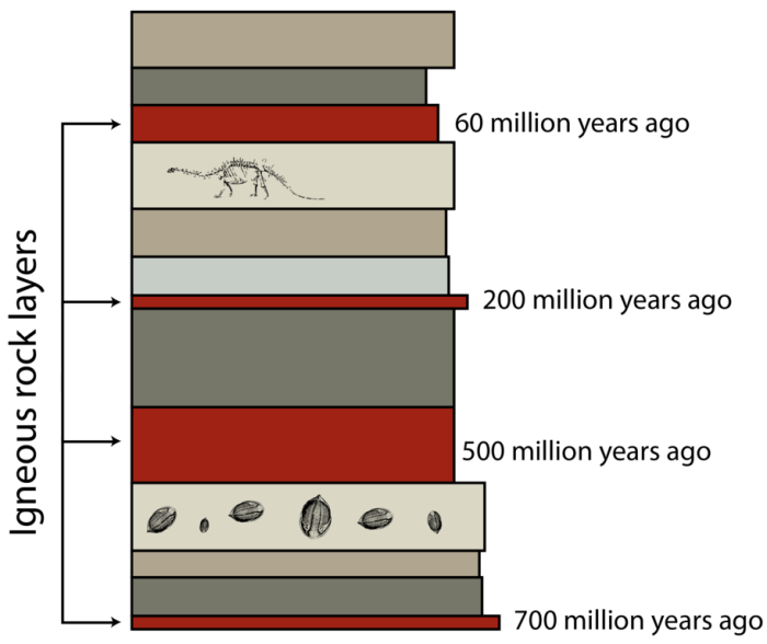 Fossils solved rocks activity events date using answer problem been has