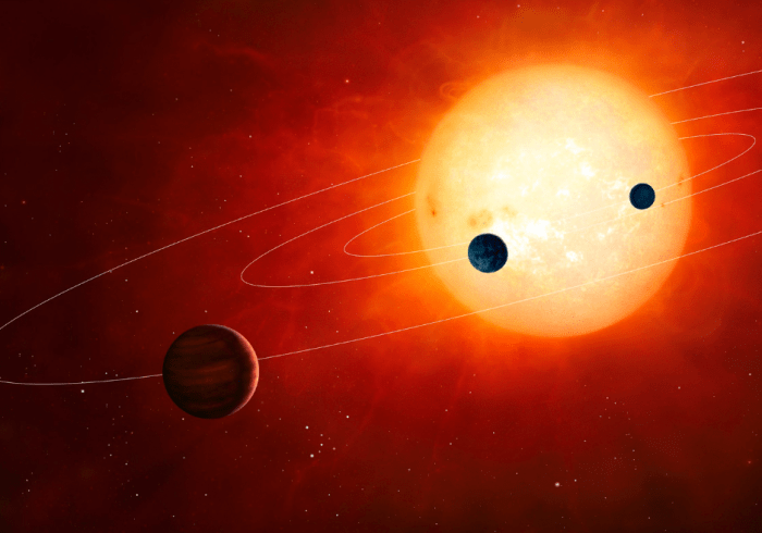 Kepler livable discovered 186f planets astronomers habitable inhabitat goldilocks