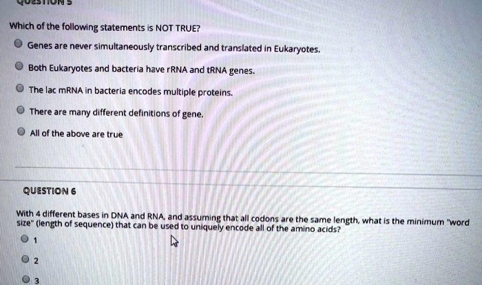 Which of the following statements about rna processing is correct