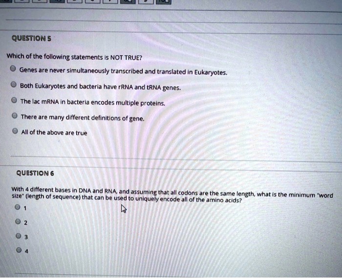 Which of the following statements about rna processing is correct